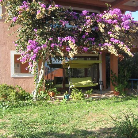 Apartman Lavanda Калі Екстер'єр фото